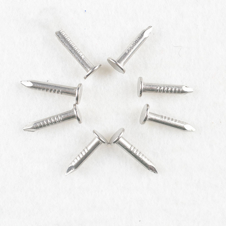 Stainless steel general nail flat head round head stainless steel nail thread twist nai